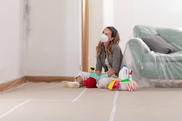 Reliable Mold Remediation contractor in Deer Park, NY by WQB Mold Removal